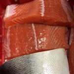 king salmon fillets